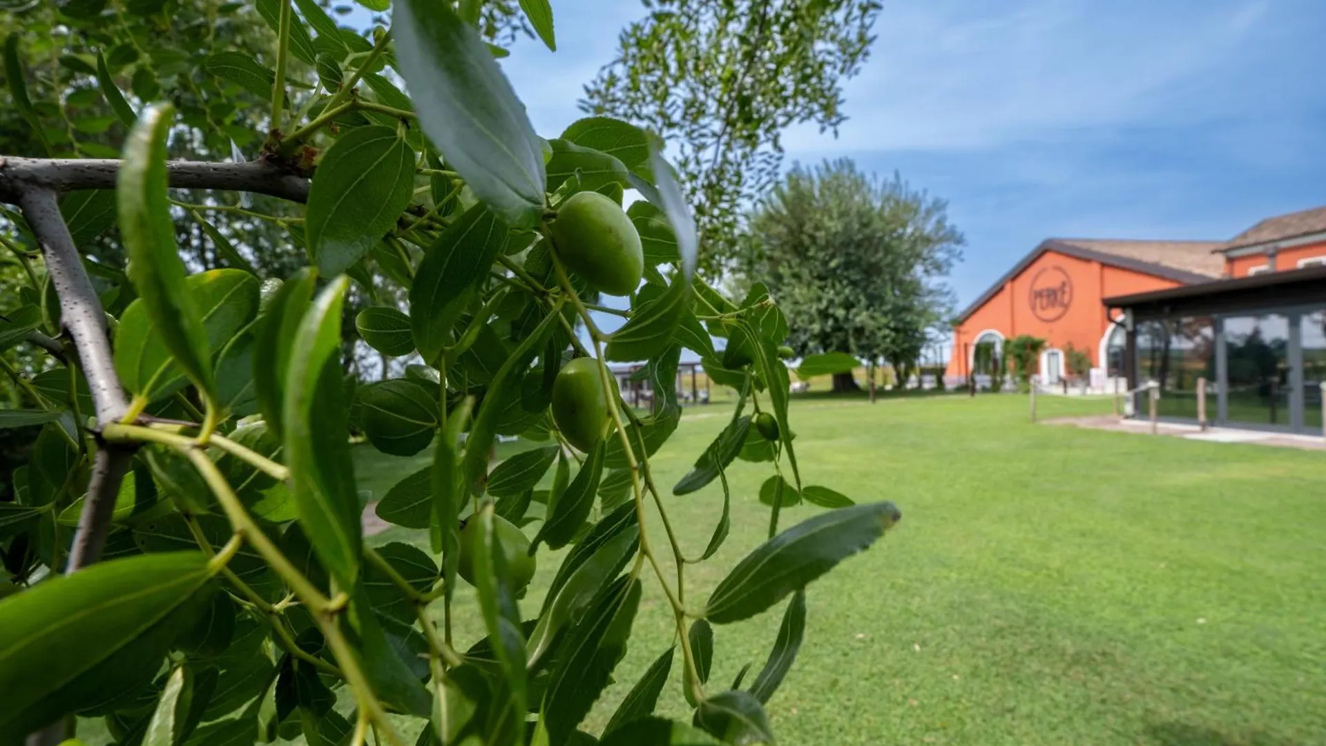 Farm stay Agriturismo Perke Nel Delta Del Po Ariano nel Polesine